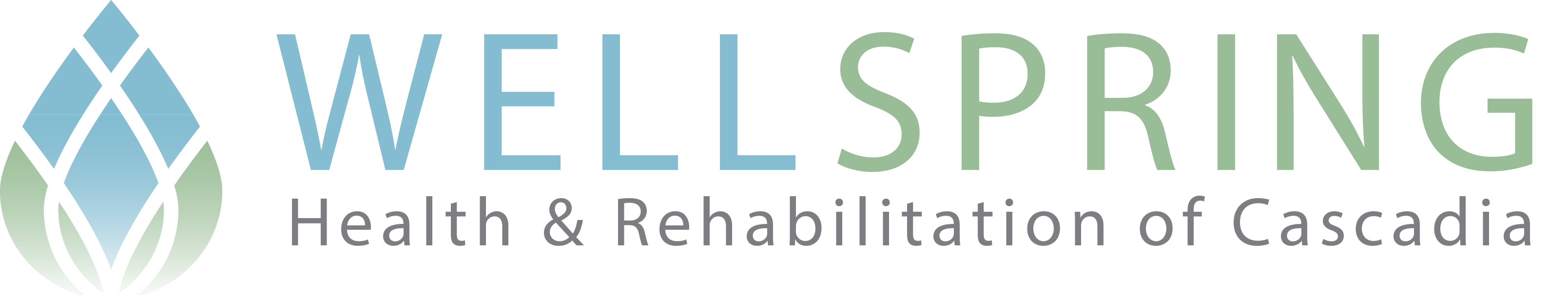Wellspring Health & Rehabilitation